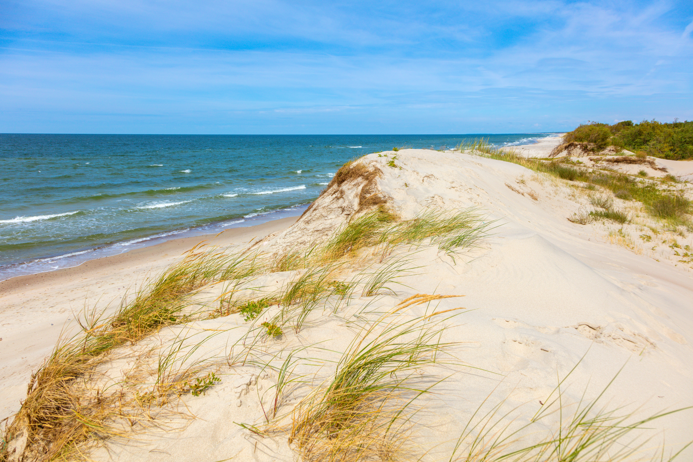 Curonian_Spit_National_Park[1].webp